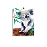 PHOTO POSTER - Sitting Koala with Gum leaves.