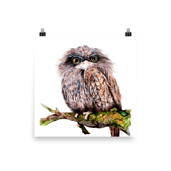 Photo poster - Tawny Frogmouth Owl