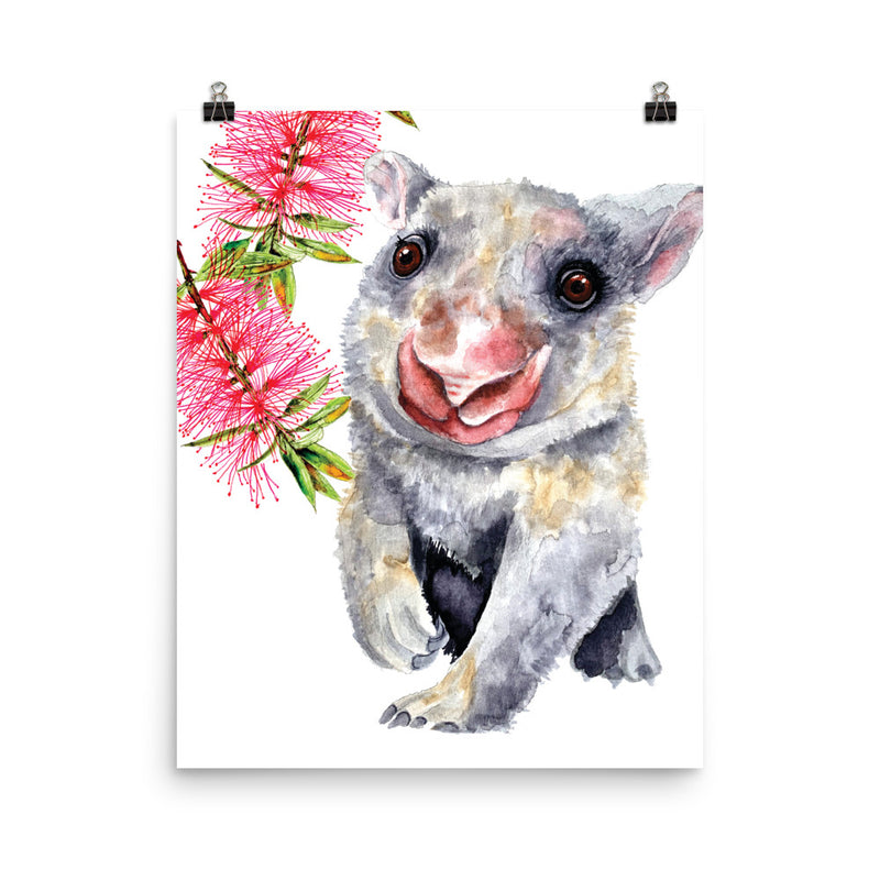 Photo poster - Wombat
